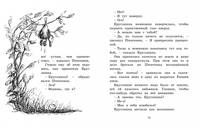 Мальчик, пёс Рыжий и премудрости Картонной школы
