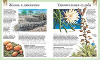 Детская энциклопедия. 250 чудес света (нов.оф.)