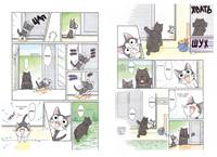 Милый дом Чи. Книга 3