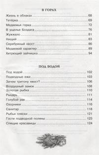 Лесные тайнички