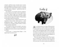 Хроники темных времен. Книга 4. Изгнанник