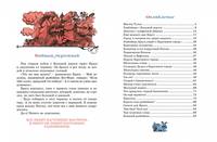 Площадь картонных часов
