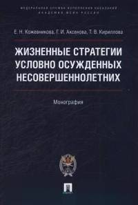 Жизненные стратегии условно осужденных несовершеннолетних. Монография