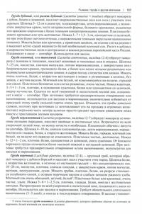 Всё о грибах. Популярная энциклопедия