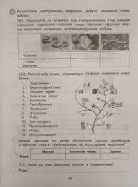 ВПР. Биология. 6 класс. Типовые задания. Тетрадь-практикум. ФГОС