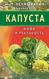 Капуста. Мифы и реальность