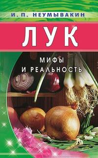 Лук. Мифы и реальность