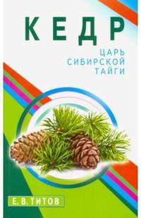 Кедр - царь сибирской тайги