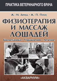 Физиотерапия и массаж лошадей. Биомеханика. Упражнения. Лечение