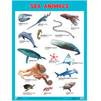 Плакаты "Sea Animals"