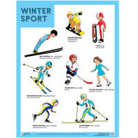 Плакаты "Winter Sport"