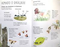 Большая книга букашек
