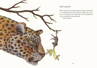 Риго и Роза. 28 историй из жизни животных в зоопарке