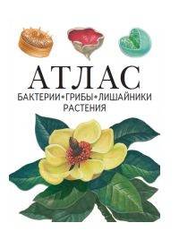 Бактерии, грибы, лишайники, растения. Атлас