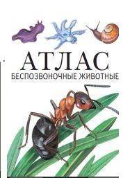 Беспозвоночные животные. Атлас