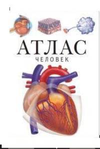 Атлас. Человек
