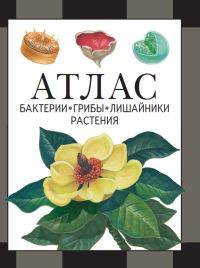 Бактерии, грибы, лишайники, растения. Атлас
