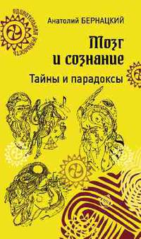 Мозг и сознание. Тайны и парадоксы