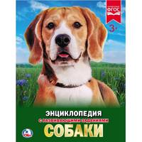 Собаки