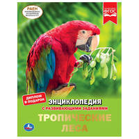 Тропические леса