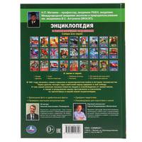 Военная техника 1941-1945