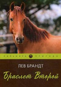Браслет Второй: повесть