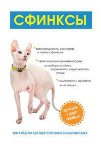 Сфинксы