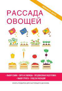 Рассада овощей