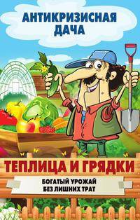 Теплица и грядки. Богатый урожай без лишних трат