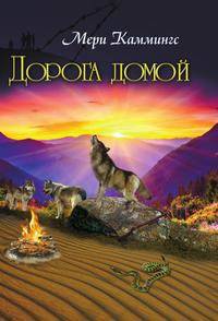 Дорога домой