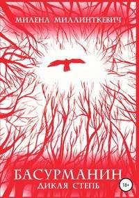 Басурманин. Дикая степь