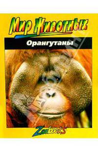 Орангутаны - (Мир животных)