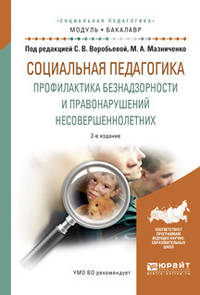 Социальная педагогика. Профилактика безнадзорности и правонарушений несовершеннолетних. Учебное пособие для академического бакалавриата