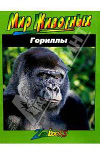 Гориллы - (Мир животных)