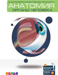 Анатомия. Органы человека. Энциклопедия в дополненной реальности