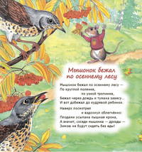Кошки-мышки