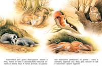 Как ежик Гоша потерялся