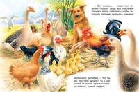 Селезень Афанасий и его друзья