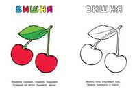 Фрукты (яблоко и сливы). Раскраска