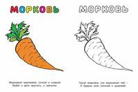 Овощи (помидор). Раскраска