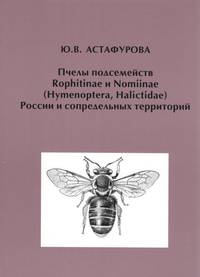 Пчелы подсемейств Rophitinae и Nomiinae (Hymenoptera, Halictidae) России и сопредельных территорий