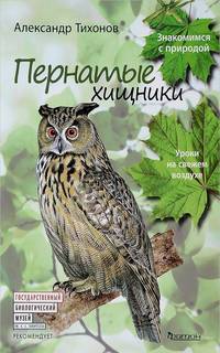 Пернатые хищники. Уроки на свежем воздухе