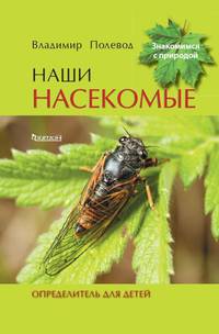 Наши насекомые. Определитель для детей
