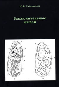 Заключительные мысли