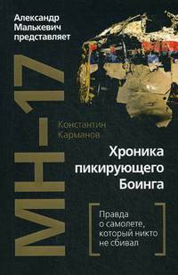 MH-17. Хроника пикирующего Боинга. Правда о самолете, который никто не сбивал