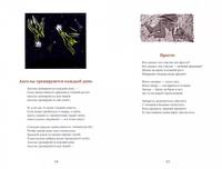 Книга хочет на ручки. Книга для взрослых со сказками и картинками