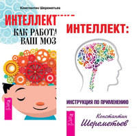 Интеллект. Интеллектика (комплект из 2-х книг) (количество томов: 2)