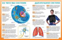 Энциклопедия почемучки про все на свете
