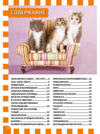 Кошки и котята