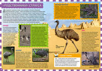 Птицы. Детская энциклопедия